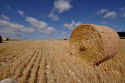 Résiliation de bail rural pour cause de défaut de paiement de fermage